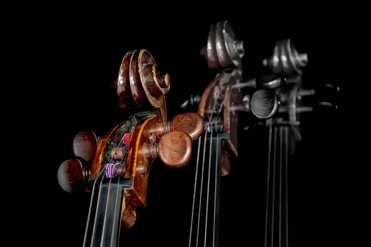 Goji Berry