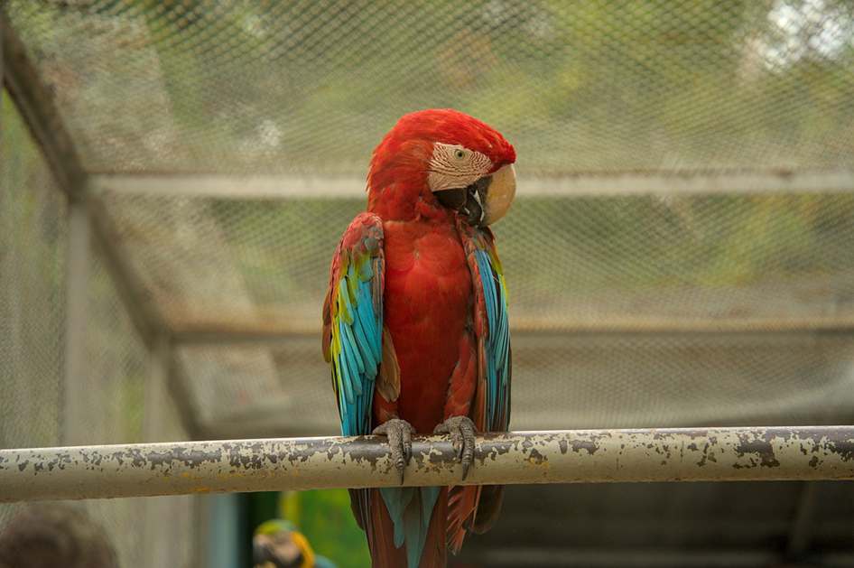 Foto de Beatriz Lima, pessoa que deu o depoimento